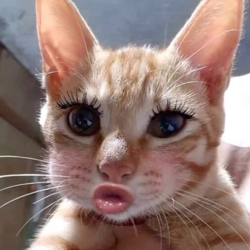 Avatar TikTok độc đáo, lạ