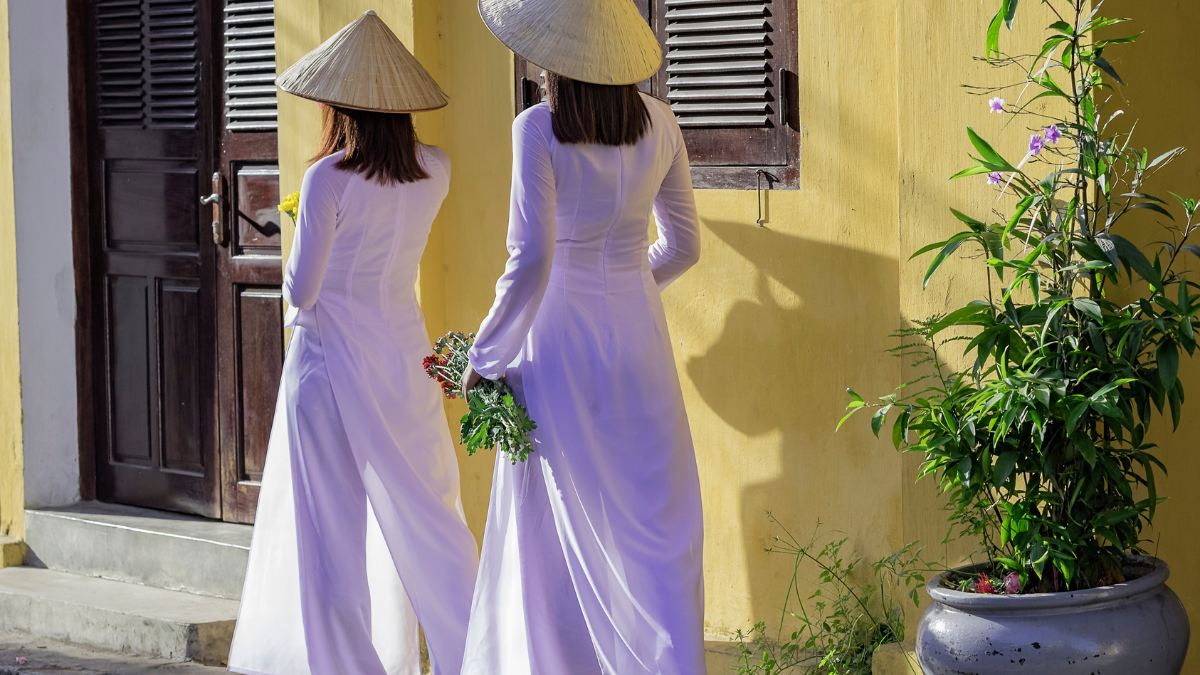 Bài hát 20/11 - Người gieo mầm xanh