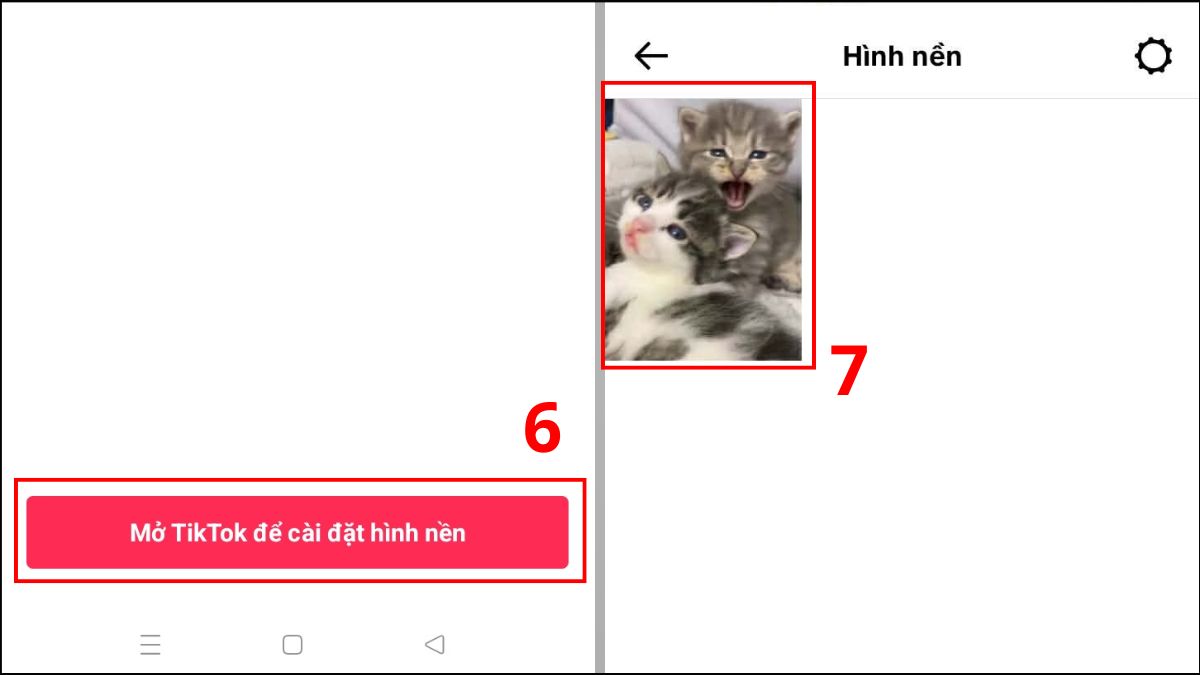 Cách đặt video làm hình nền điện thoại Oppo qua TikTok bước 3