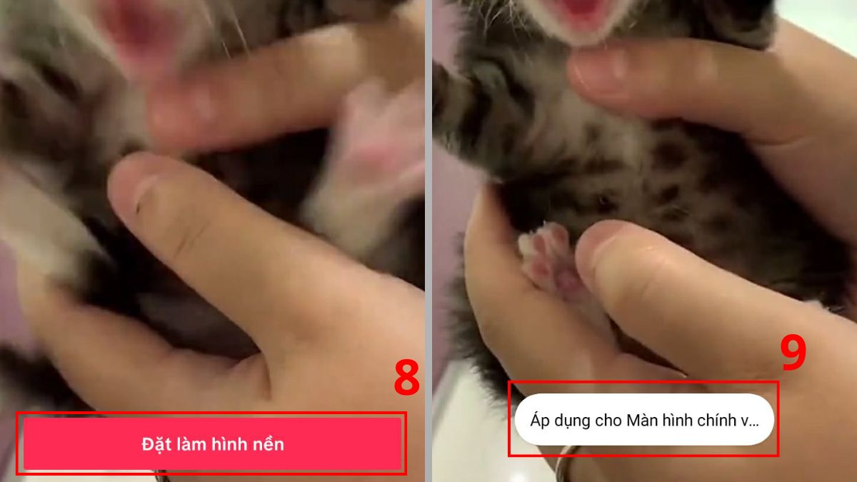 Cách đặt video làm hình nền điện thoại Oppo qua TikTok bước 4