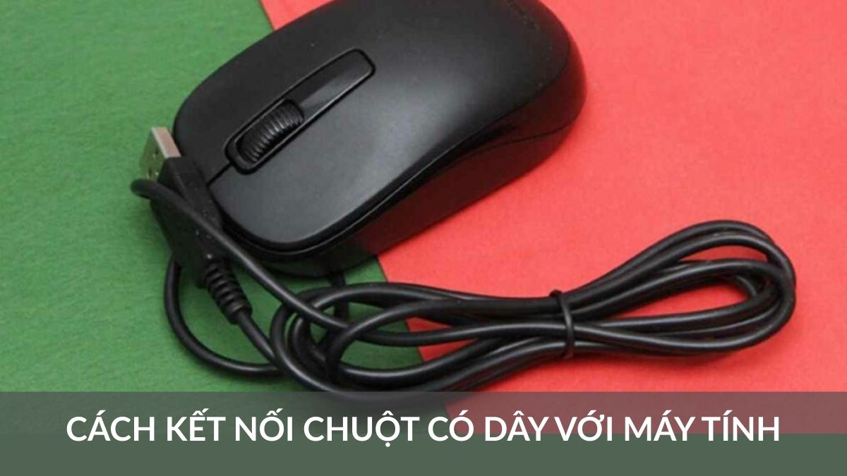 Cách kết nối chuột có dây với máy tính đơn giản nhất