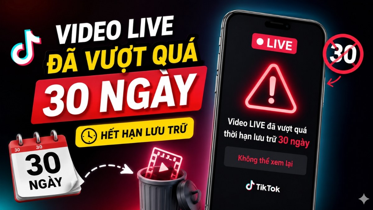 Cách xem lại live trên TikTok - Không xem được live lưu trữ sau 30 ngày