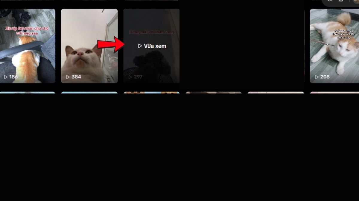 Cách xóa bình luận trên TikTok của người khác trên máy tính bước 2