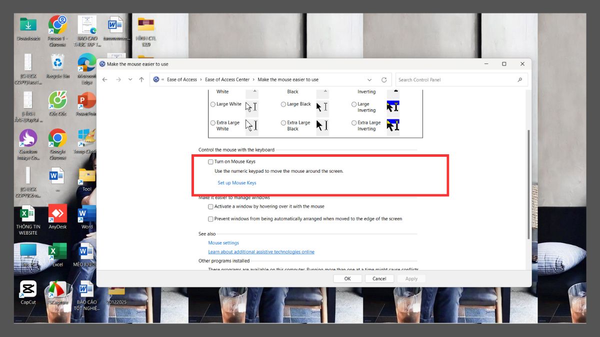 Cài đặt chuột máy tính trong Ease of Access Center - Tùy chọn Turn on Mouse Keys