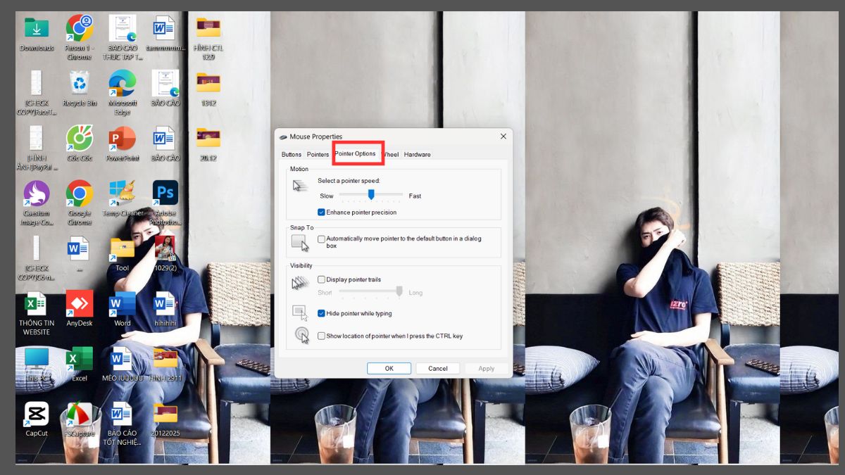 Cài đặt chuột máy tính trong Control Panel - Tùy chọn con trỏ chuột