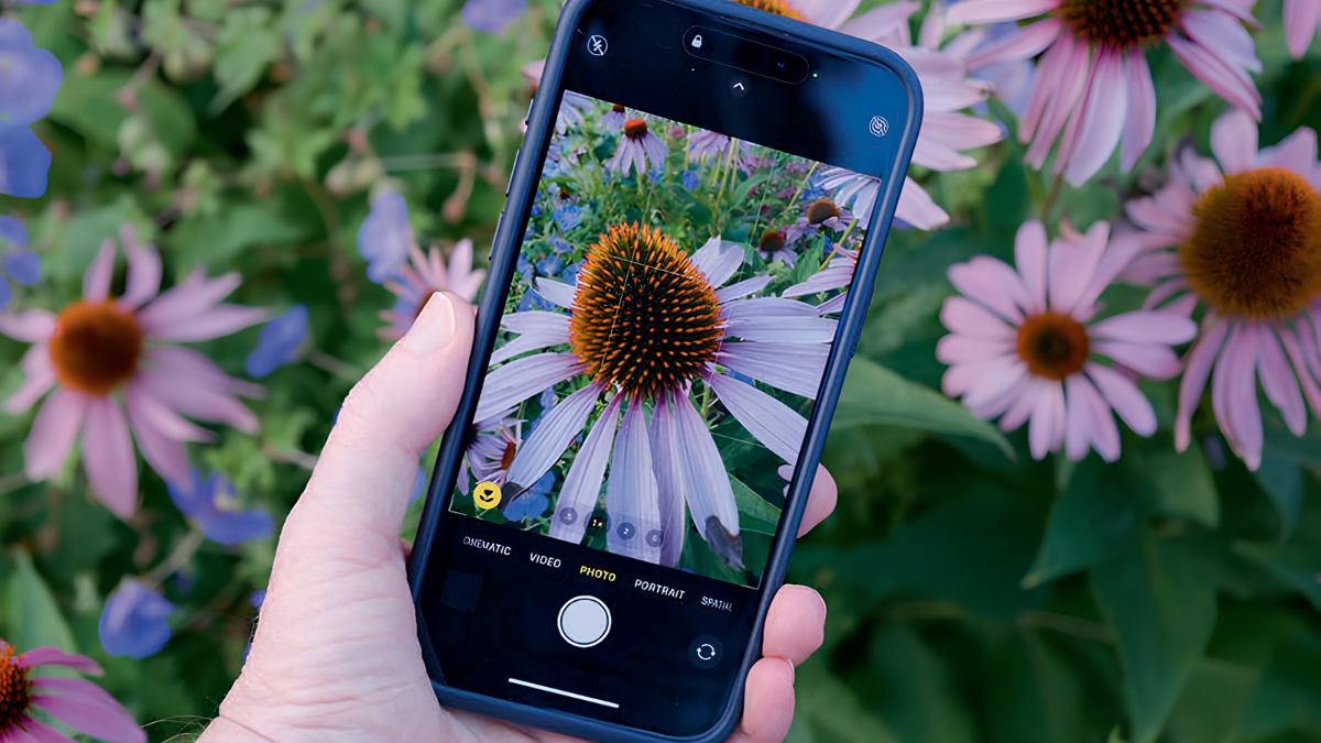 Camera Macro là gì trên điện thoại?