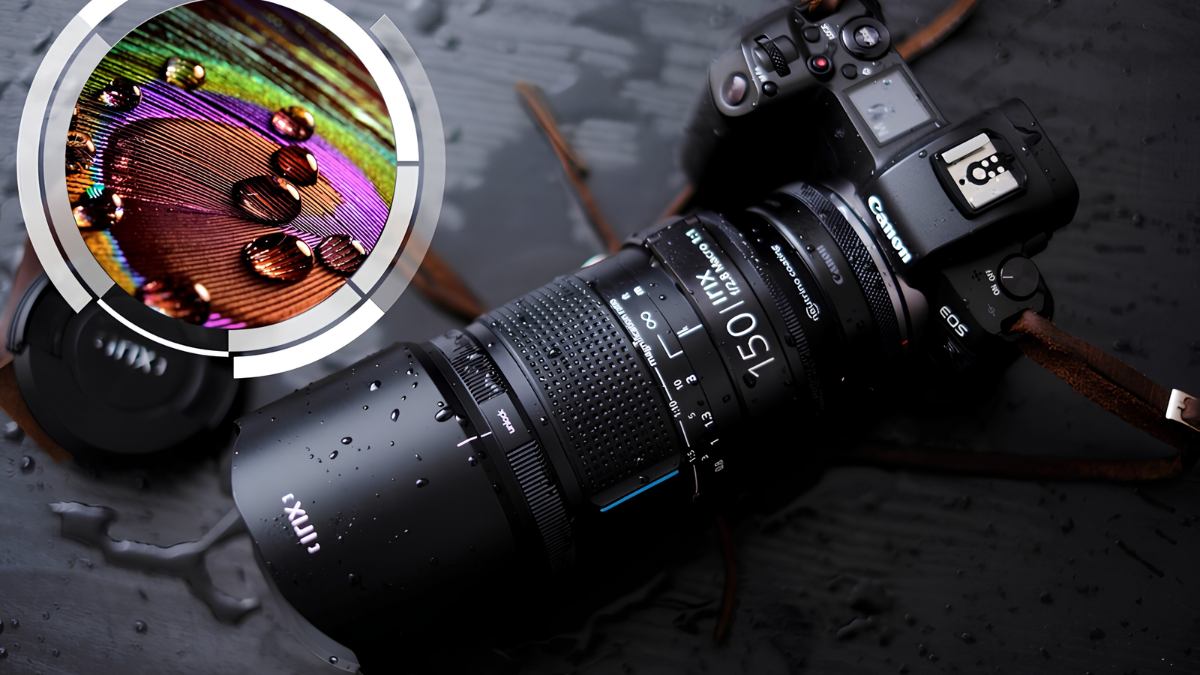 Camera Macro là gì trên máy ảnh?