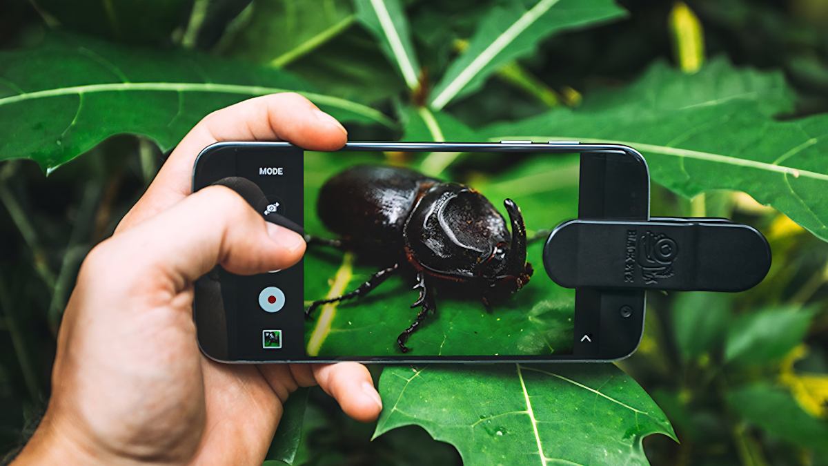 Ưu điểm của Camera Macro là gì? Khoảng cách lấy nét gần