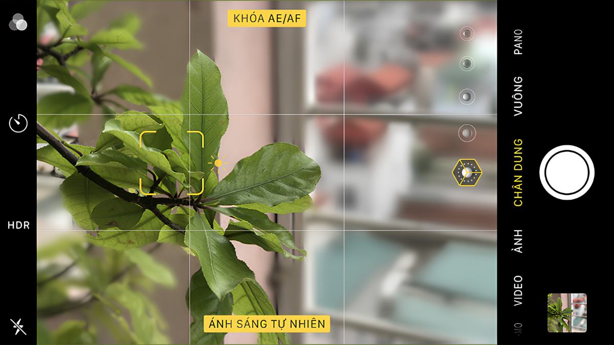 Tips chụp ảnh với Camera Macro là gì? Điều kiện ánh sáng