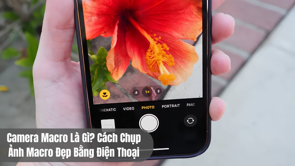 Camera Macro là gì? Cách chụp ảnh Macro đẹp bằng điện thoại