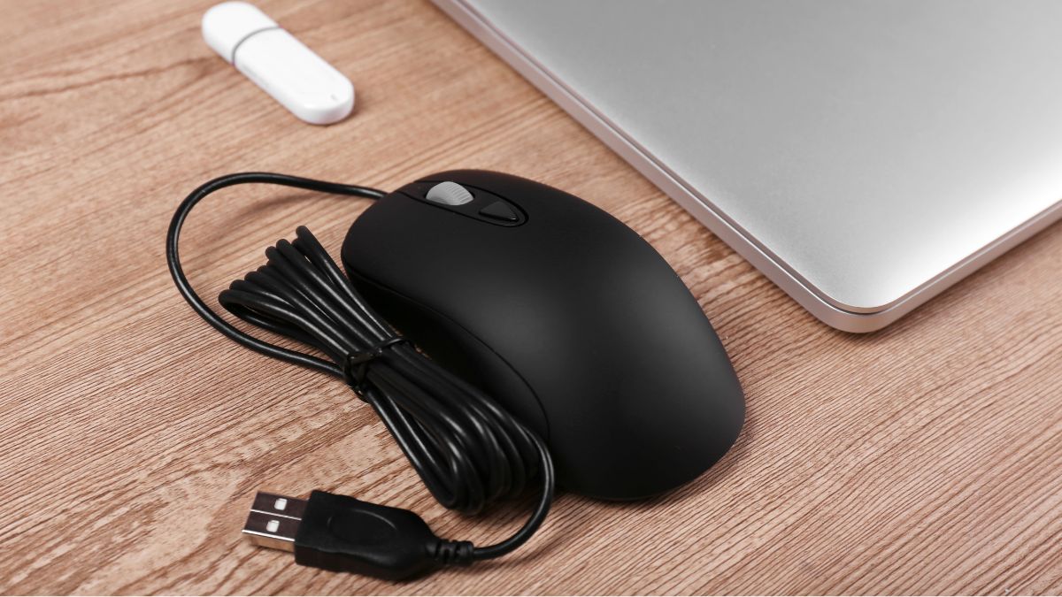 Cấu tạo chuột máy tính và các loại cổng giao tiếp của chuột