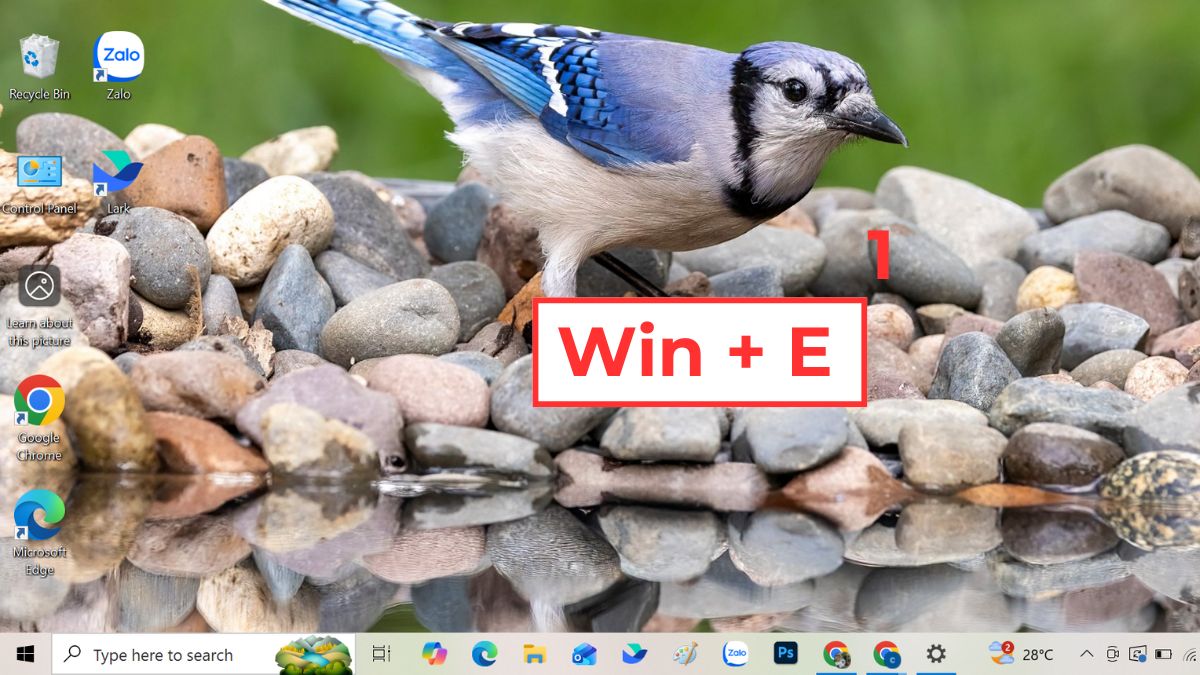 Cách sửa chuột bị double click - Cài đặt mở thư mục bằng 1 click bước 1