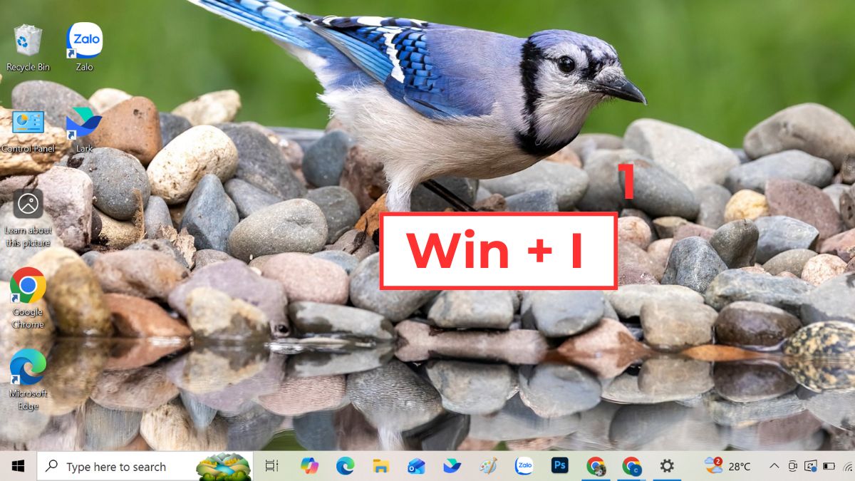 Cách sửa chuột bị double click - Tắt phần mềm điều khiển chuột bước 1