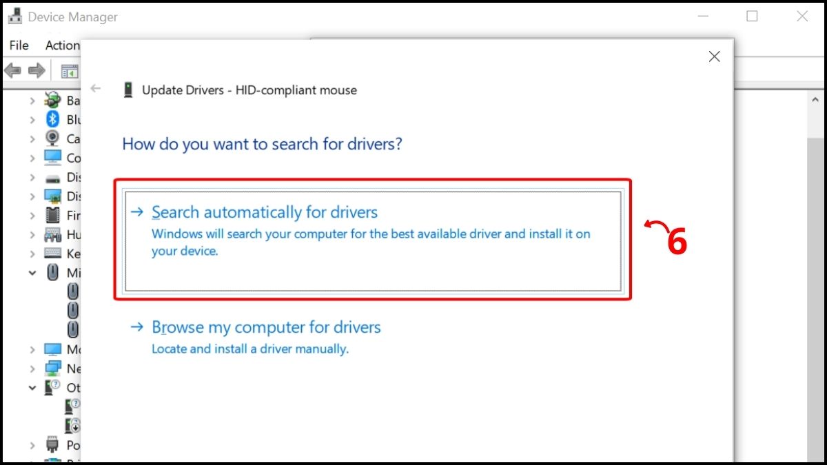 Khắc phục lỗi chuột bị giật lag Win 11 - Cập nhật Driver bước 4