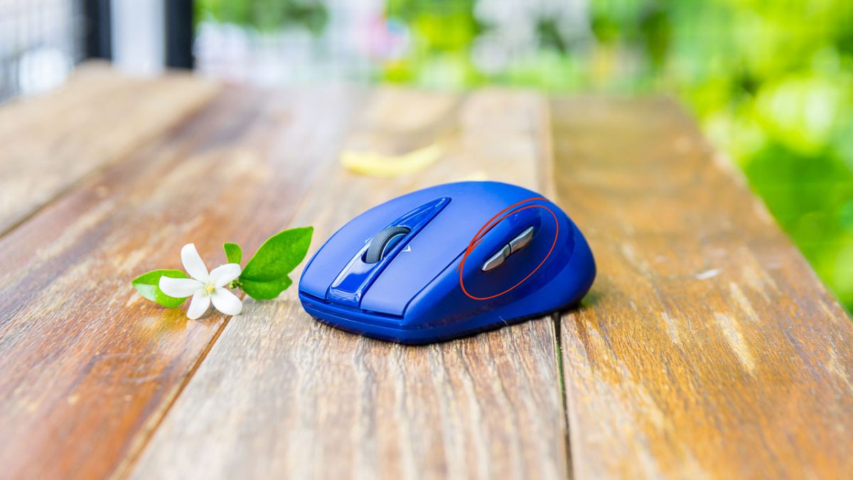 Nút trên chuột máy tính có chức năng gì? - Nút bên hông
