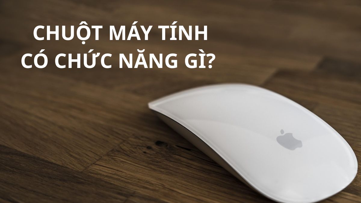 Chuột máy tính có chức năng gì?