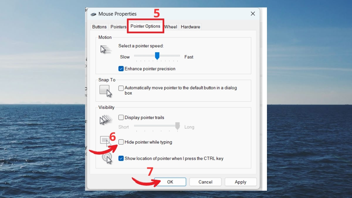 Sửa lỗi chuột máy tính tự di chuyển - Tắt Hide pointer while typing bước 3