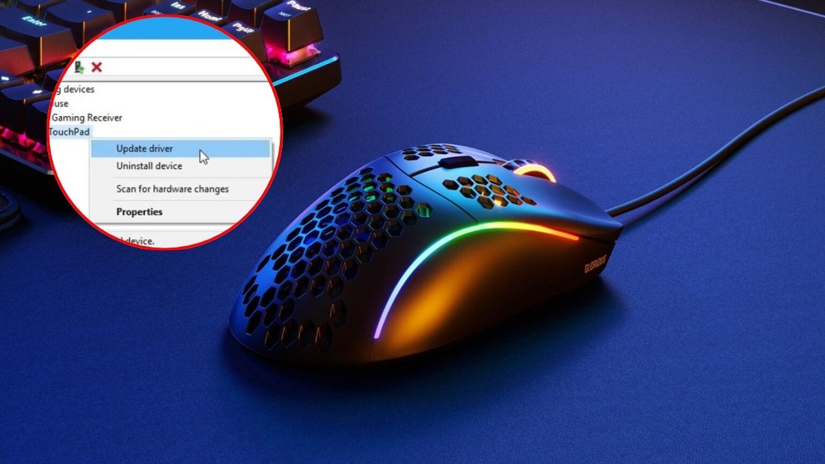 Nguyên nhân khiến con lăn chuột bị loạn - Lỗi driver