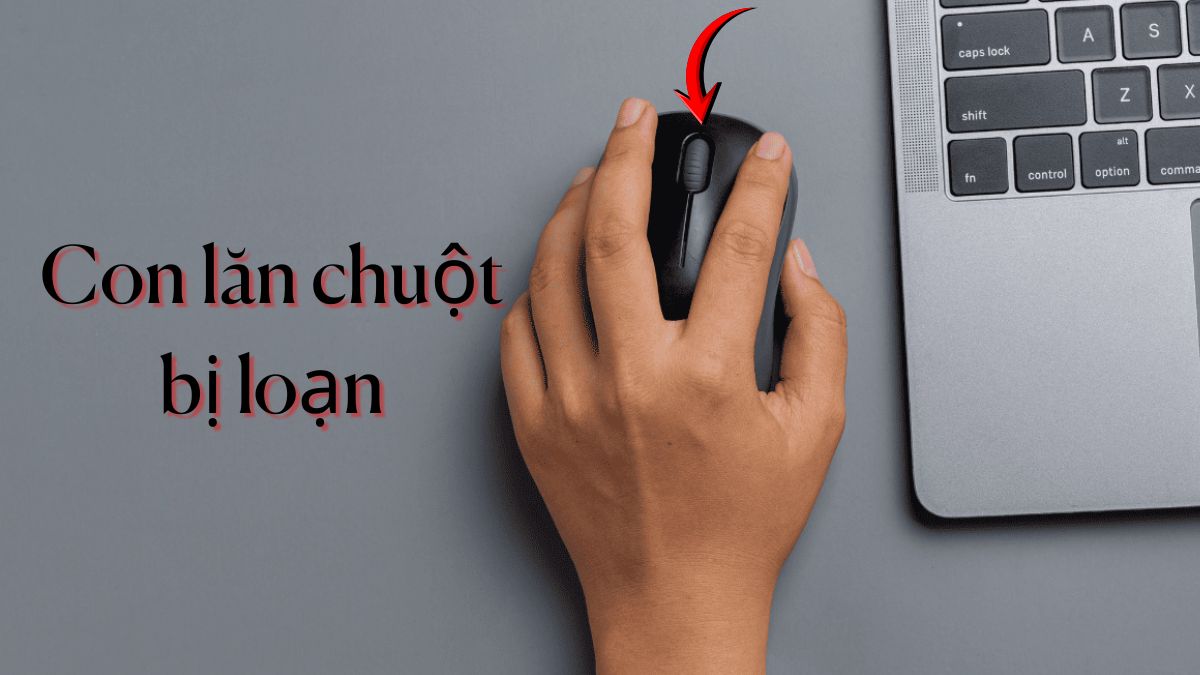 Con lăn chuột bị loạn: Nguyên nhân và cách khắc phục