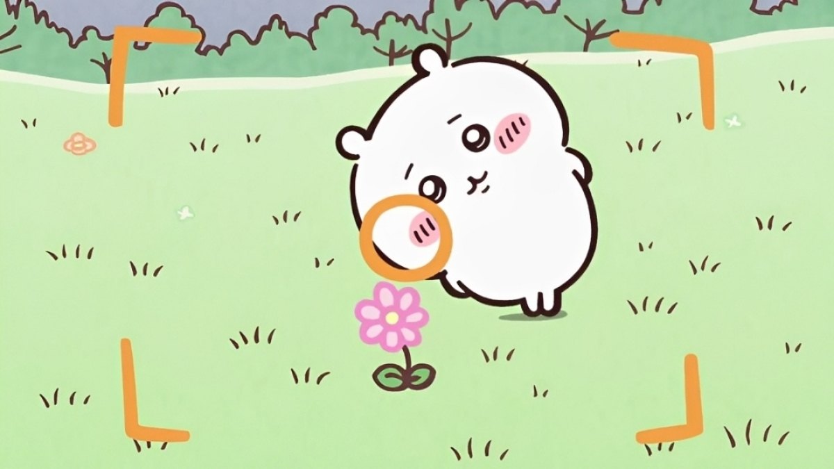 Hình nền Chiikawa chụp ảnh