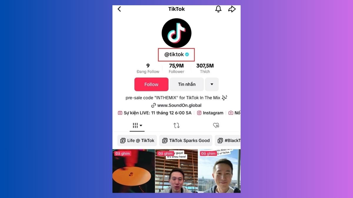 ID TikTok là gì? - Dùng để định danh cho một tài khoản