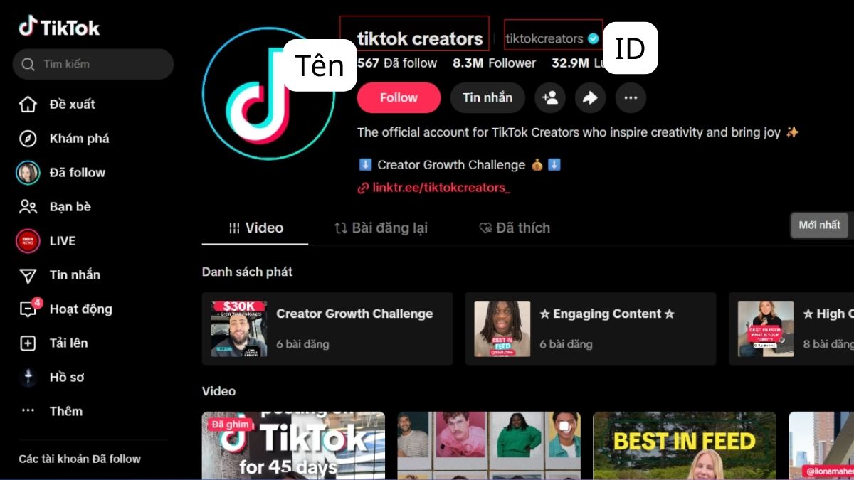ID TikTok là gì? - Phân biệt ID và Tên hiển thị