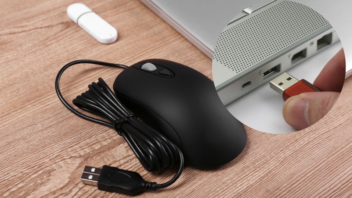 Cách kiểm tra chuột máy tính - Kiểm tra dây chuột