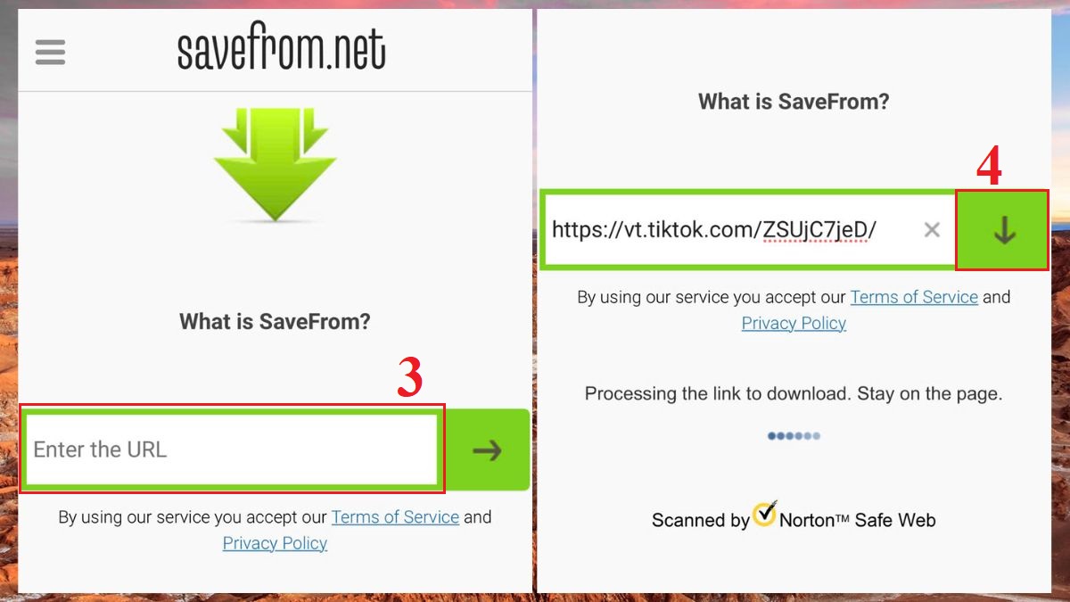 Tải ảnh Tiktok không logo trên iPhone với SaveFrom.net bước 3, 4