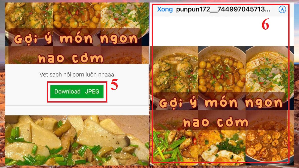Tải ảnh Tiktok không logo trên iPhone với SaveFrom.net bước 5, 6