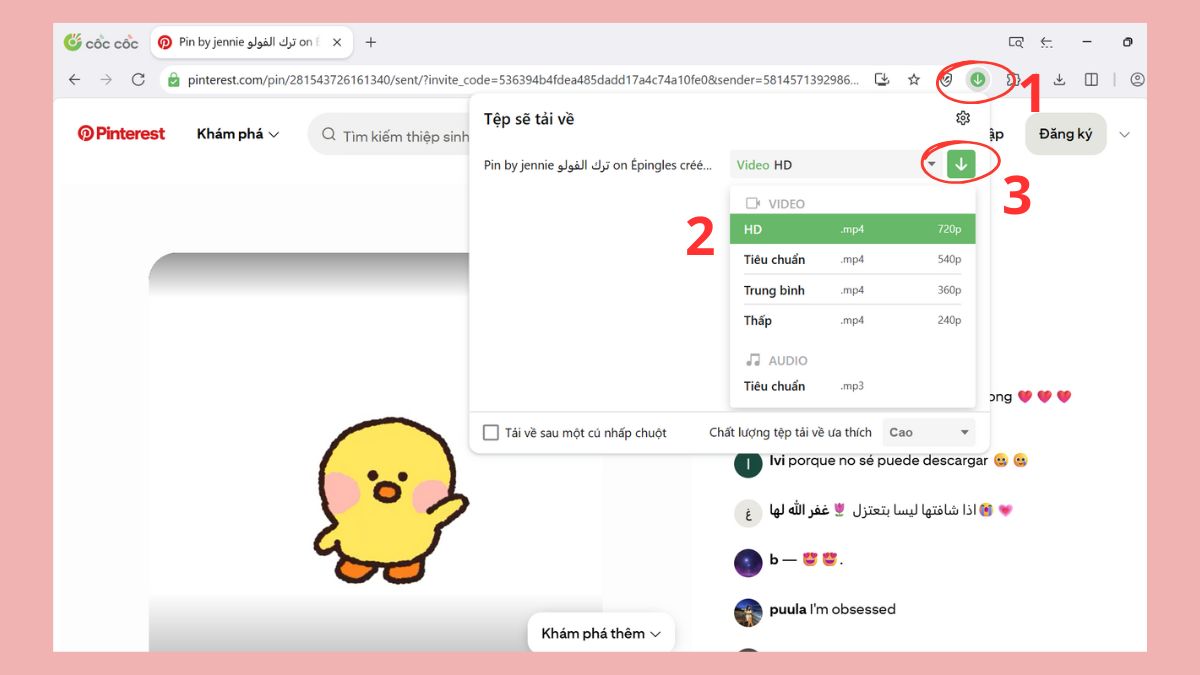 Tải video Pinterest với trình duyệt Cốc Cốc