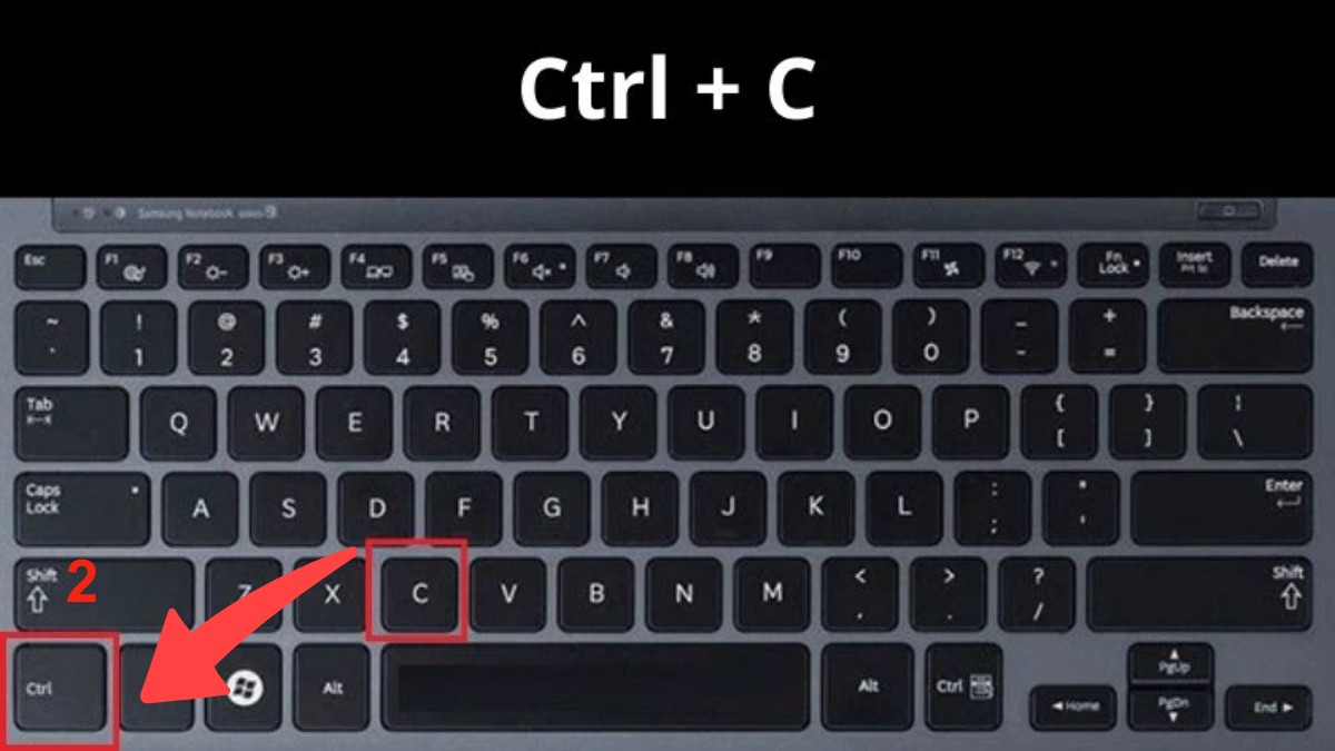 Cách xuống dòng trong ChatGPT trên máy tính - Copy từ Docs hoặc Note bước 2