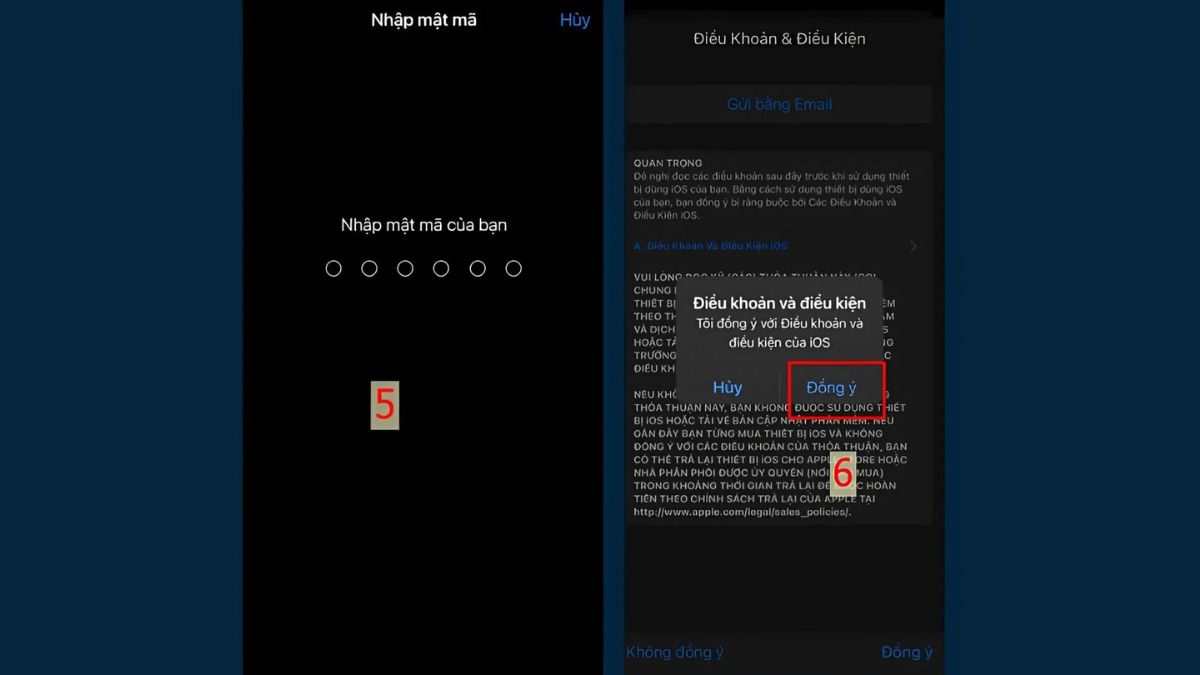 Sửa Zalo bị lỗi tự thoát - Cập nhật hệ điều hành trên iPhone bước 3