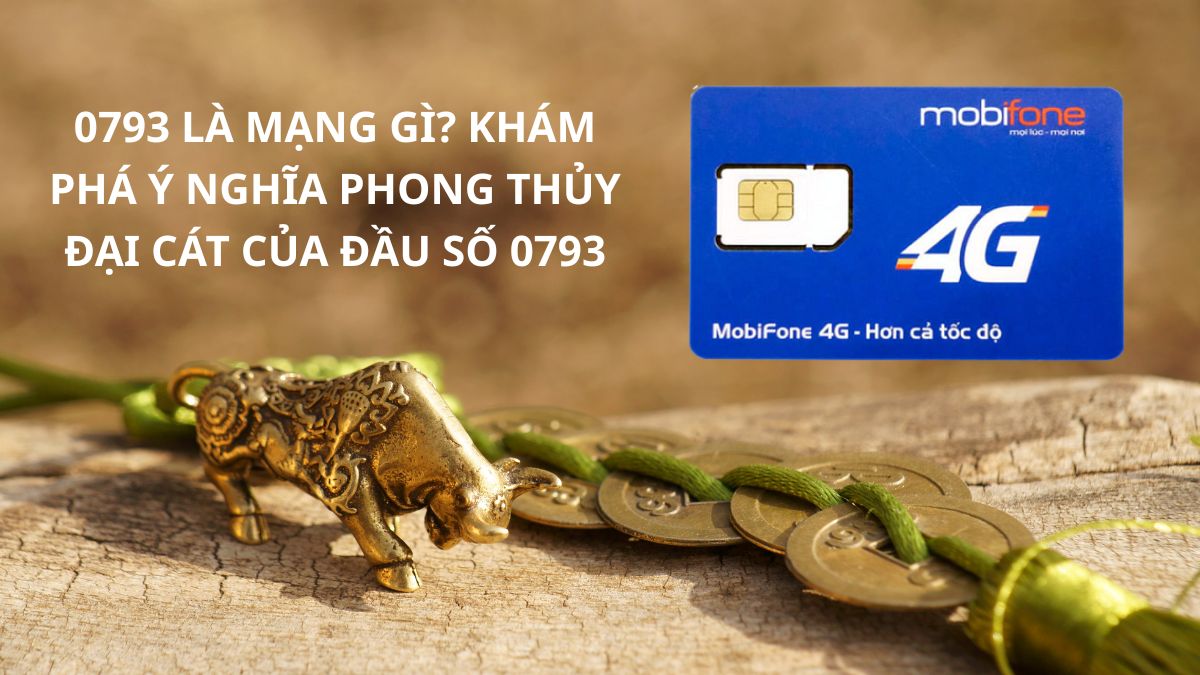 0793 là mạng gì? Khám phá ý nghĩa phong thủy Đại Cát của đầu số 0793