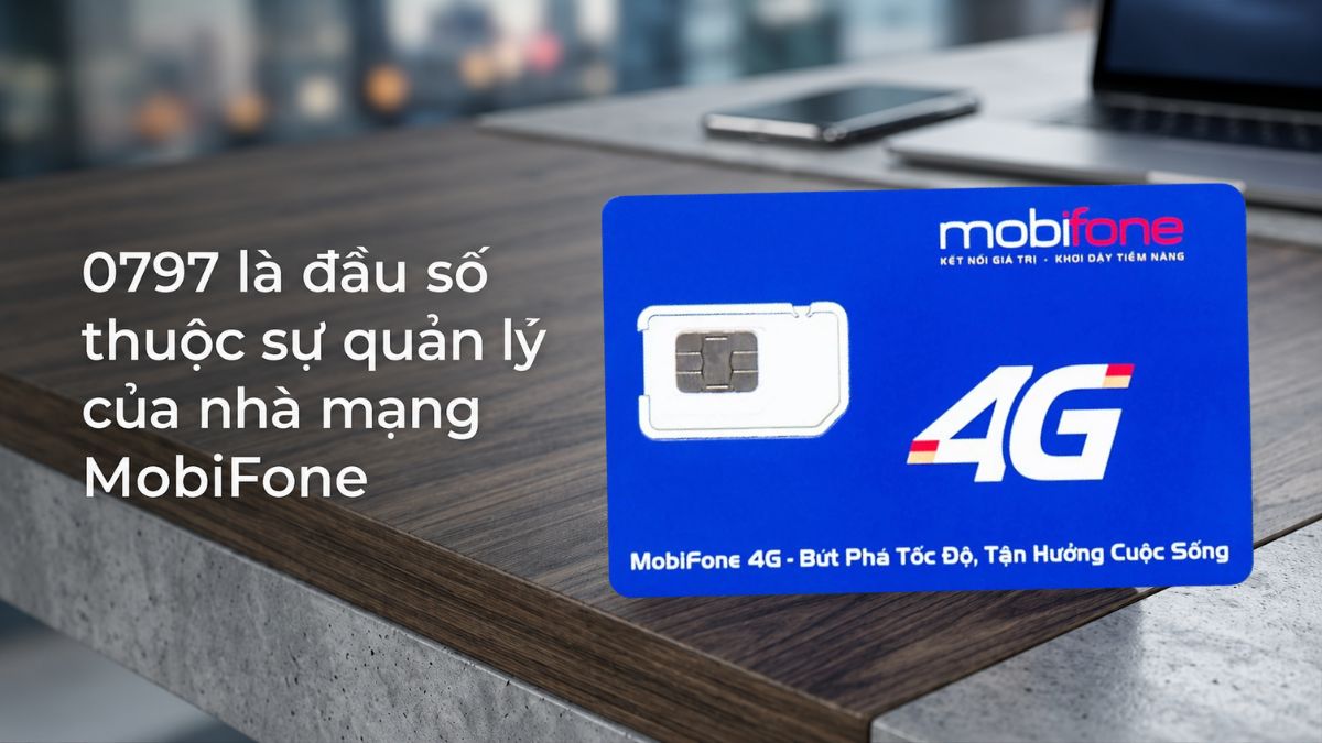 đầu số 0797 mạng gì