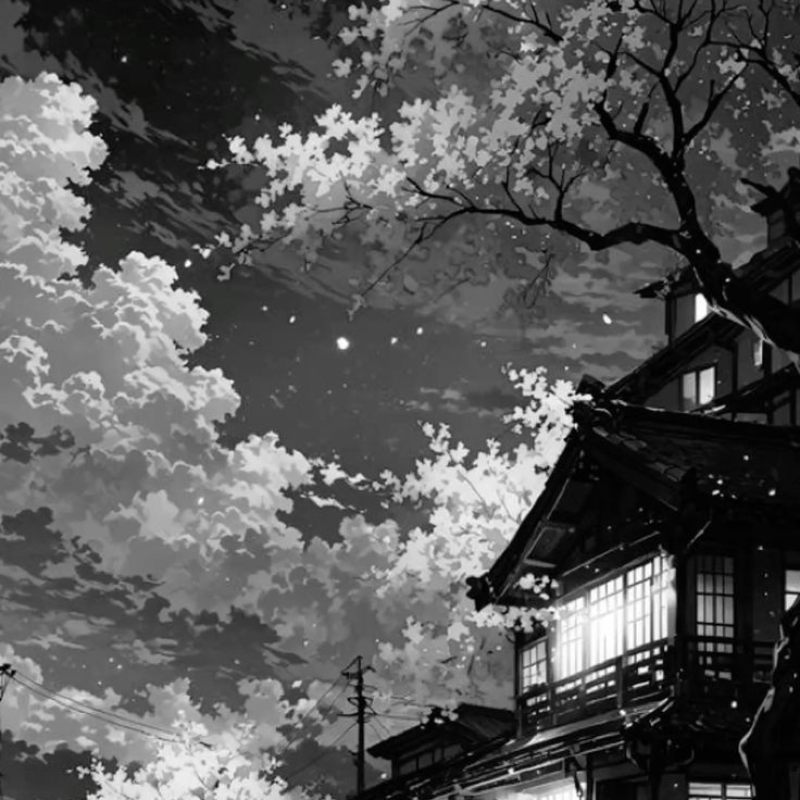 Avatar phong cảnh chill anime và nghệ thuật đen trắng 14