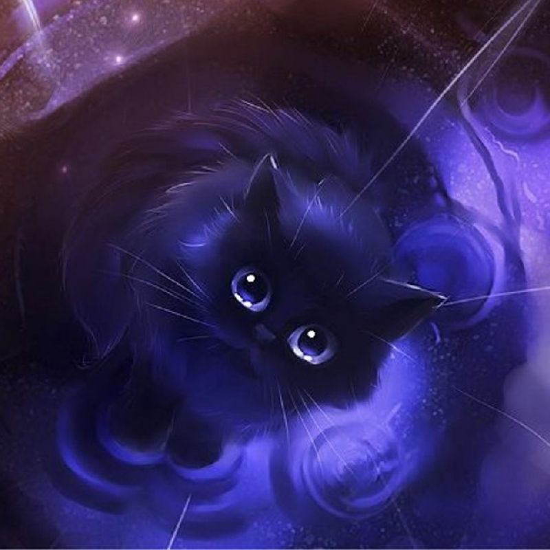 Avatar mèo đen ngầu lòi và anime cá tính 12
