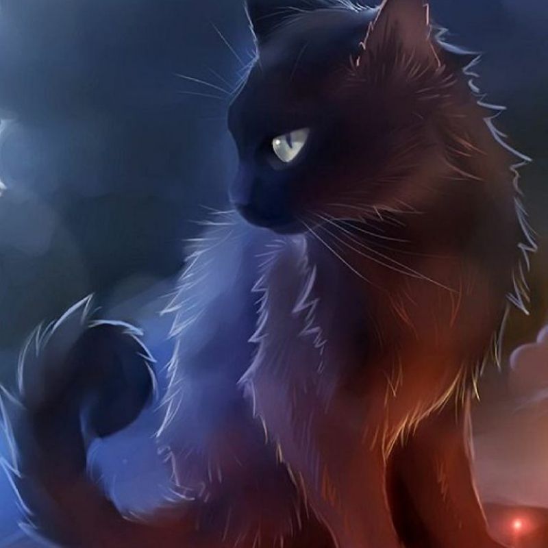 Avatar mèo đen ngầu lòi và anime cá tính 13