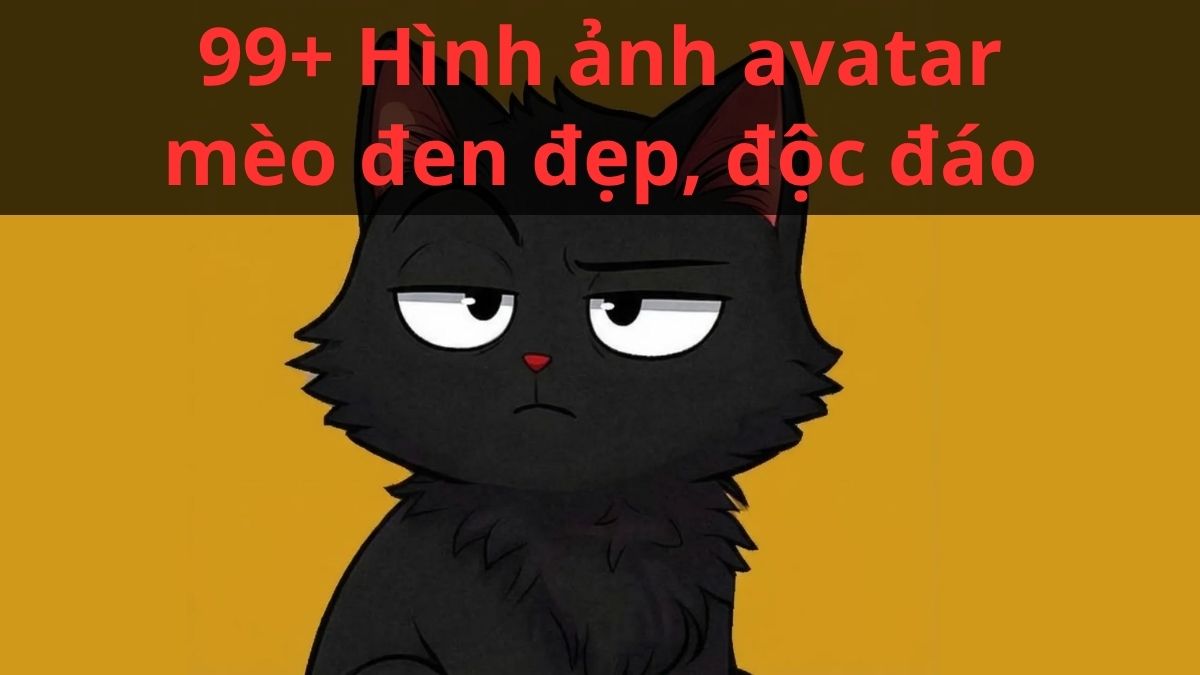 99+ Hình ảnh avatar mèo đen đẹp, độc đáo full HD