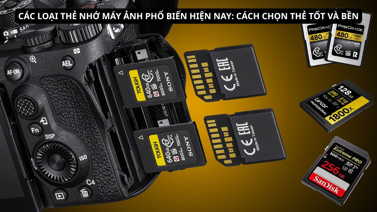 Các loại thẻ nhớ máy ảnh phổ biến hiện nay: Cách chọn thẻ tốt và bền
