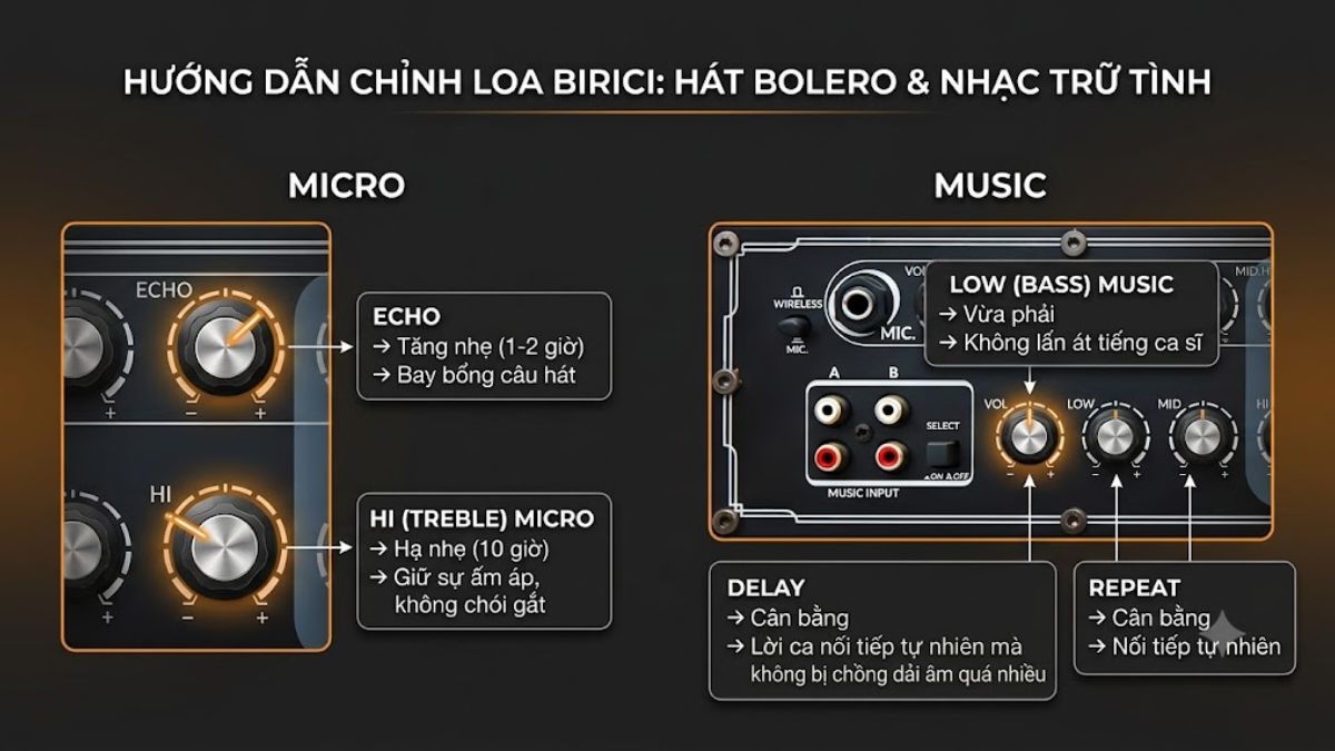 Chỉnh loa Birici hát bolero, nhạc trữ tình