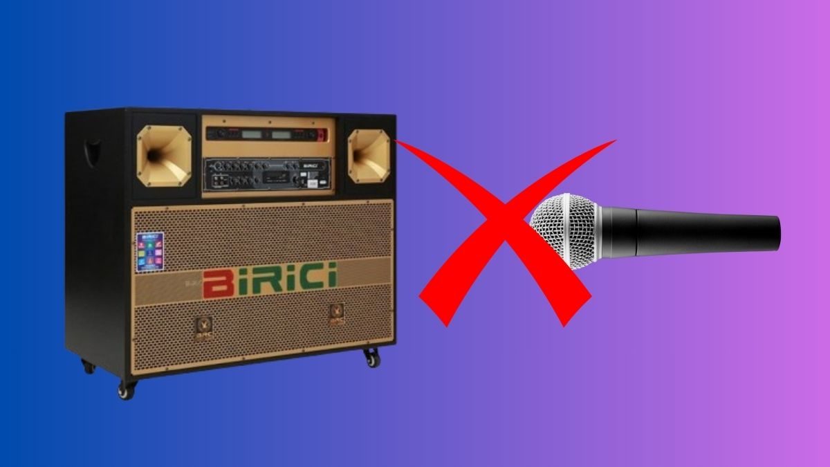 Lưu ý khi sử dụng loa điện Birici để âm thanh ổn định