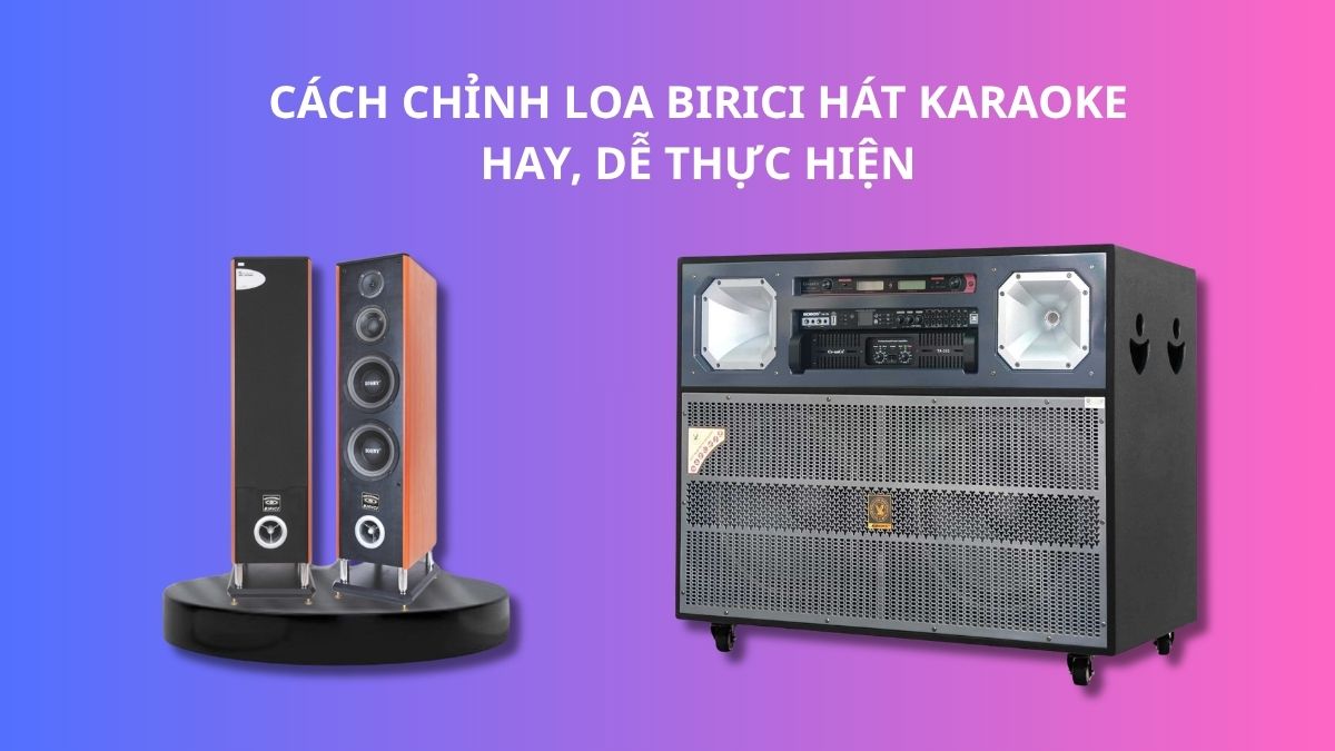 cách chỉnh loa Birici hát karaoke hay, dễ thực hiện