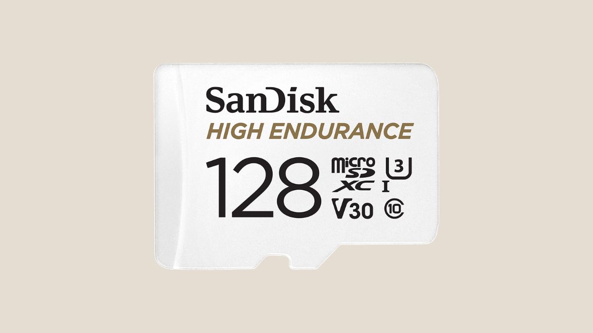 SanDisk High Endurance