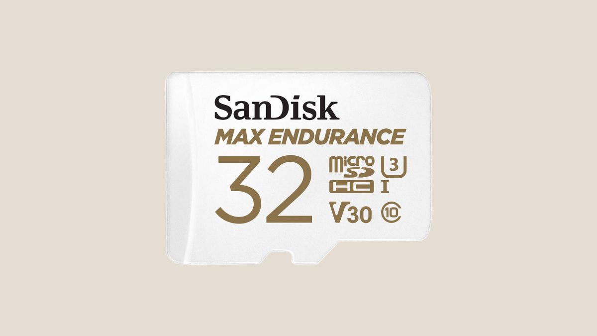 SanDisk Max Endurance
