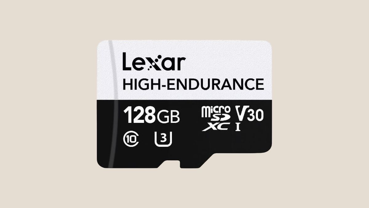 Lexar High Endurance