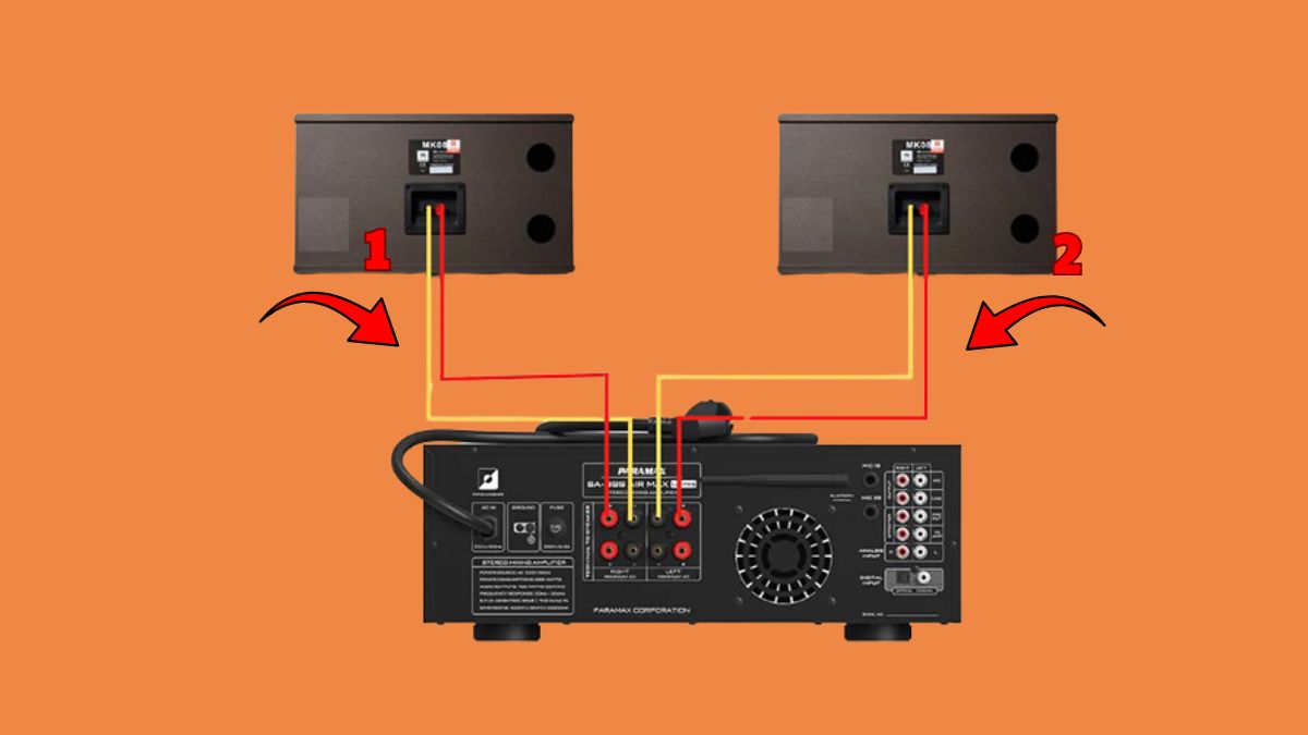 Cách đấu 2 đôi loa vào 1 amply bước 1