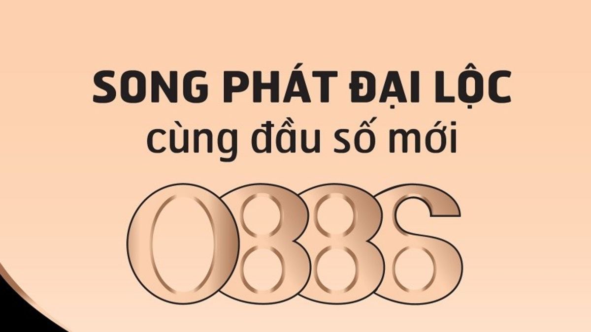 Các nhánh đầu số 088 phổ biến hiện nay