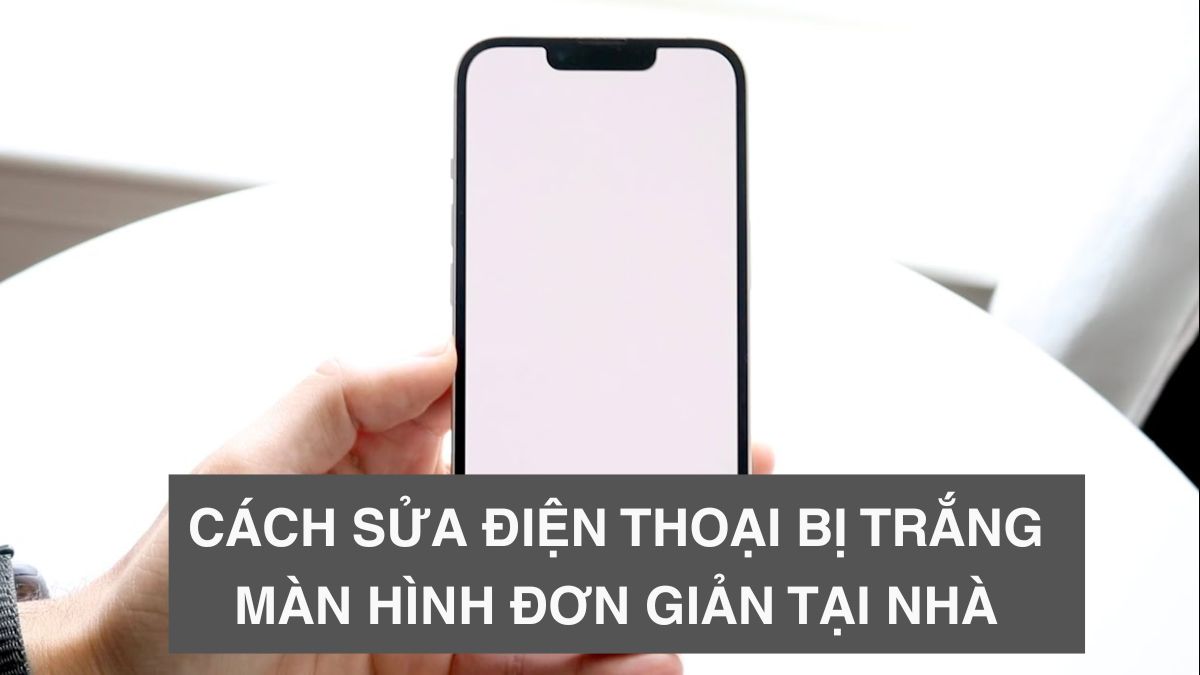 Cách sửa điện thoại bị trắng màn hình đơn giản tại nhà