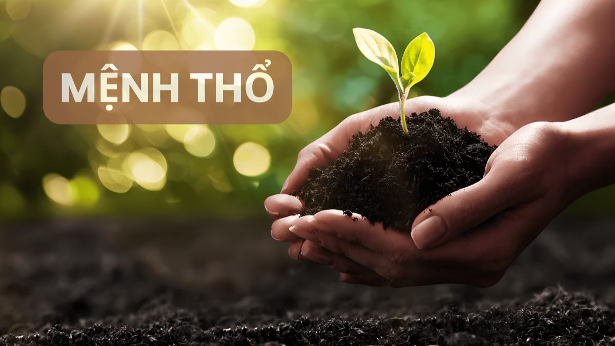 Mệnh thổ trong ngũ hành