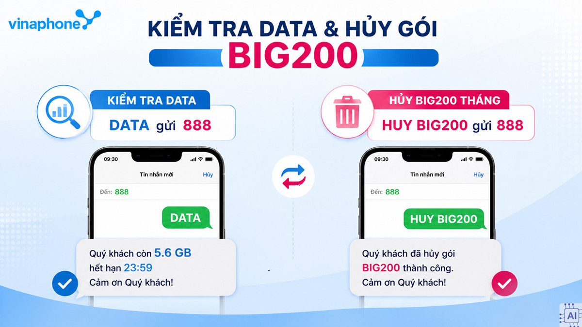 Cú pháp kiểm tra data và hủy gói BIG200
